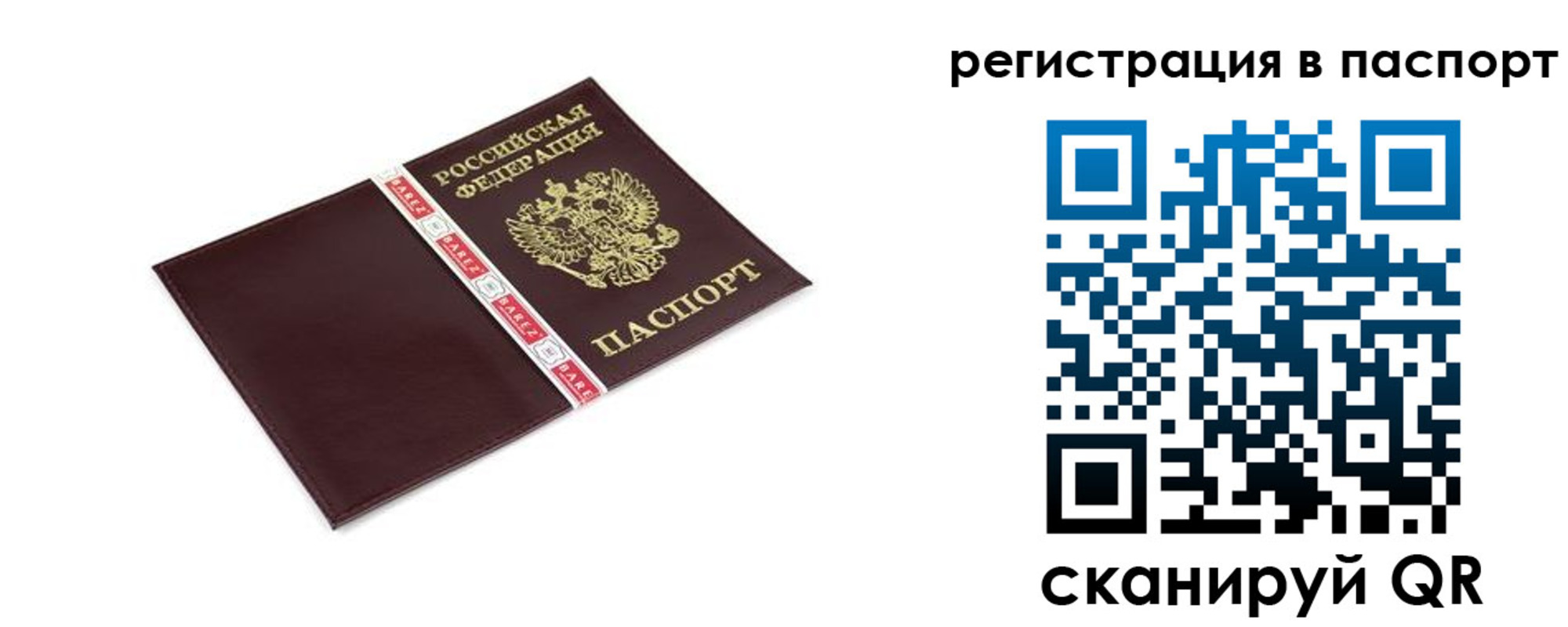 пропишу в квартире в Павловске